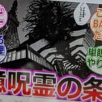 【呪術廻戦】一億呪霊って誕生すると思う？に対する読者の反応集